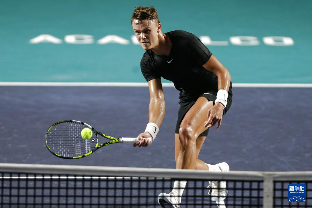 要结构之一 要结构之一