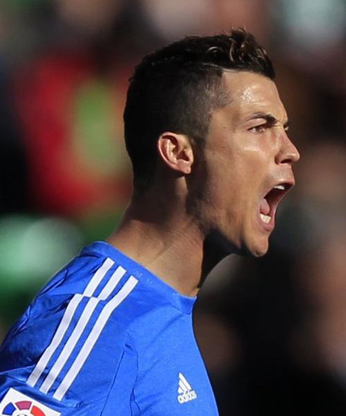 据数据显示 据数据显示