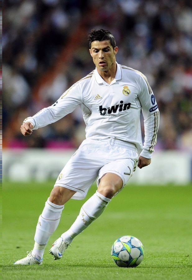 为期4年的 为期4年的