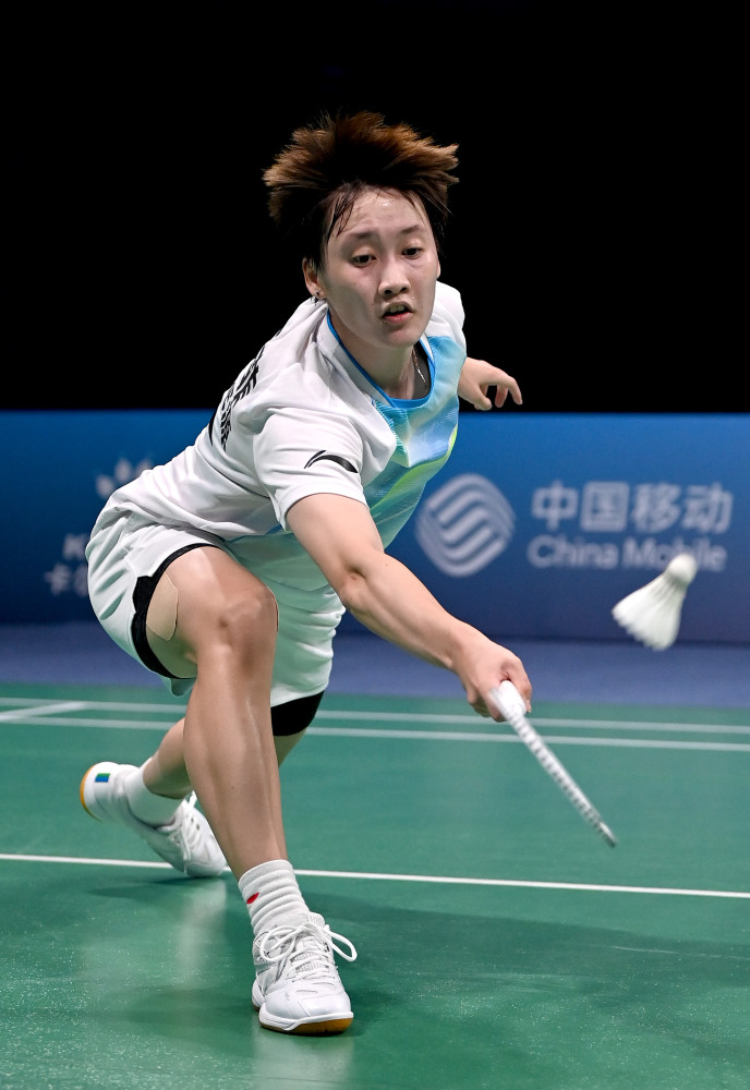 取得了显著 取得了显著