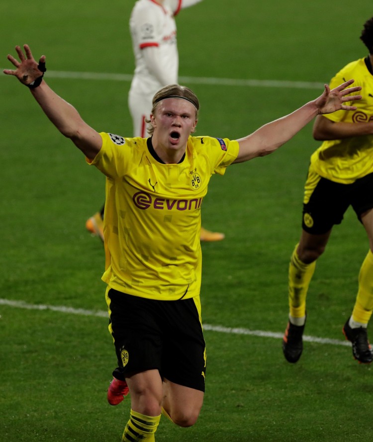 我们看到了 我们看到了